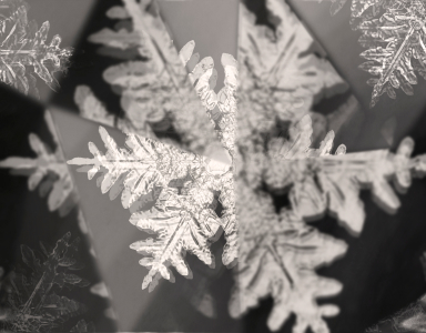 Как подготовить волосы к осени.